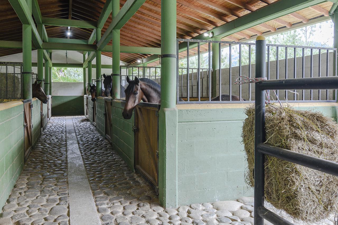 Finca Boutique El Diamante Salgar  Eksteriør billede