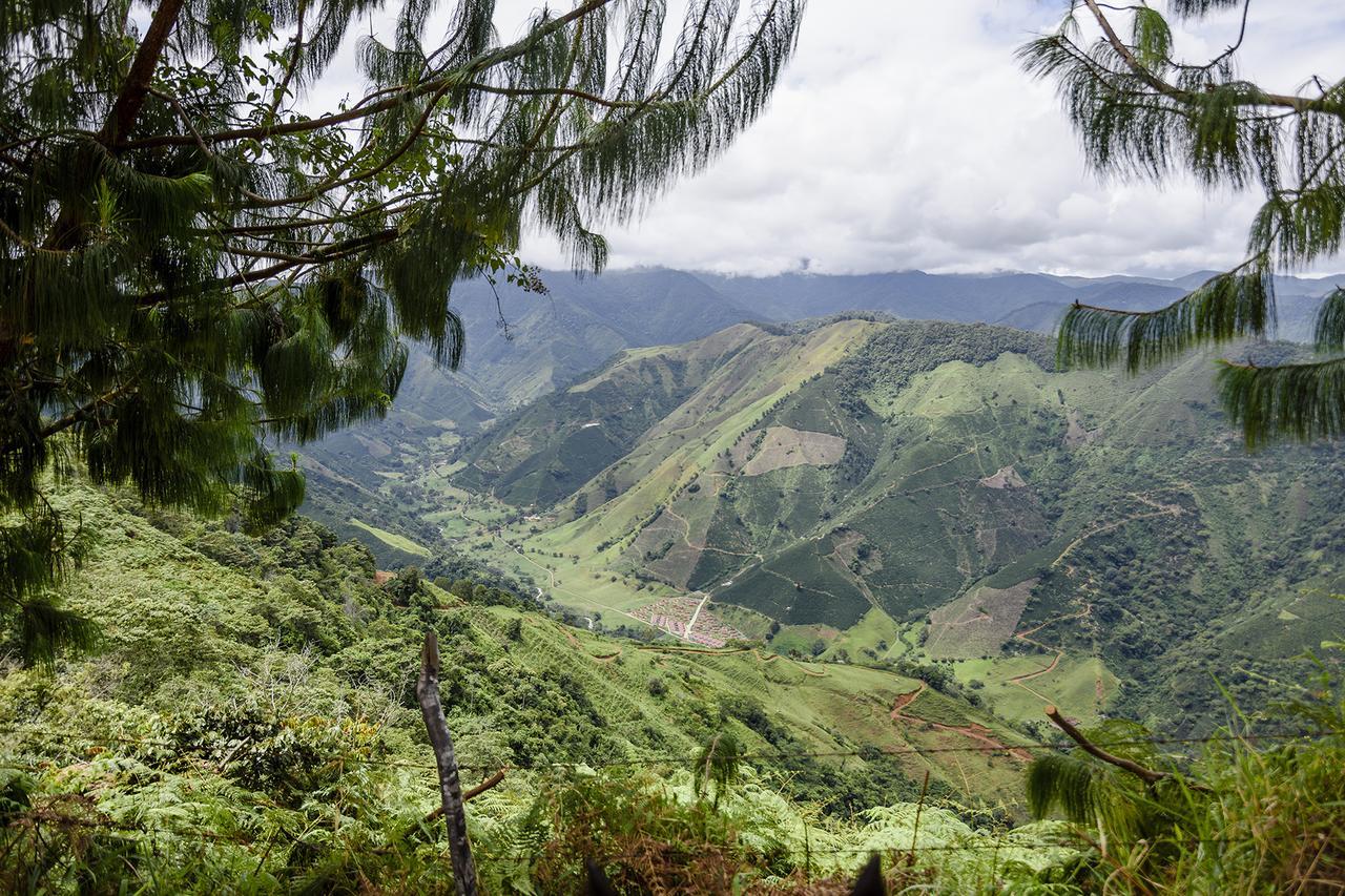Finca Boutique El Diamante Salgar  Eksteriør billede