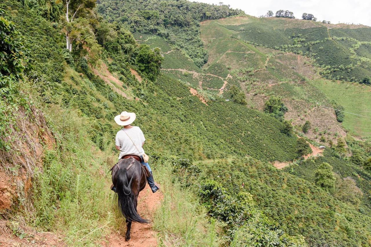 Finca Boutique El Diamante Salgar  Eksteriør billede
